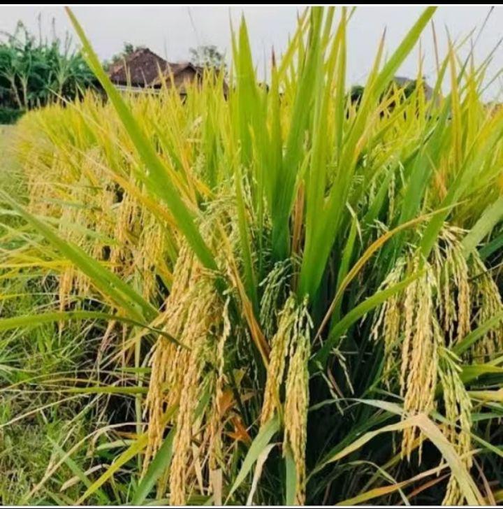 Product detail media - 2